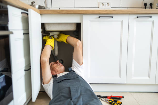 Best Clogged Drain Plumber  in Frederickson, WA